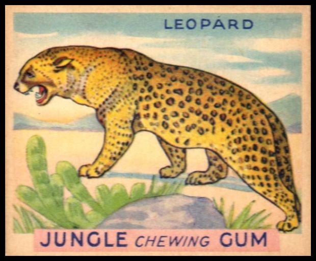 10 Leopard